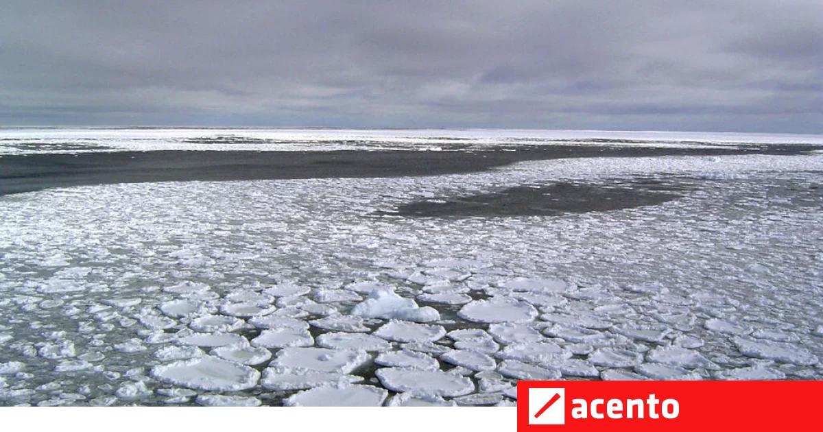 La superficie de la banquisa antártica cae en niveles