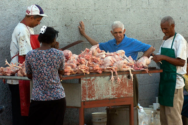 República Dominicana y la FAO estrechan lazos para erradicar el hambre