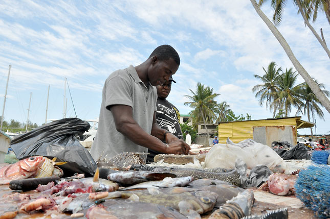 Hoteles dominicanos importan el 90% de su oferta de peces y mariscos