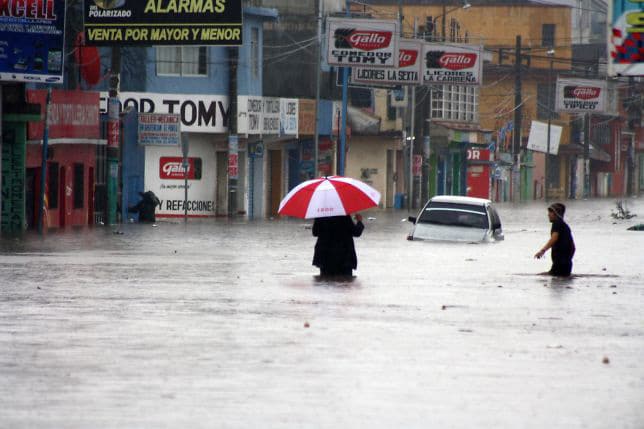 Universidades de todo el mundo declaran emergencia climática