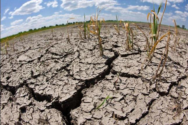 Sequía extrema: Prohíben el uso 
