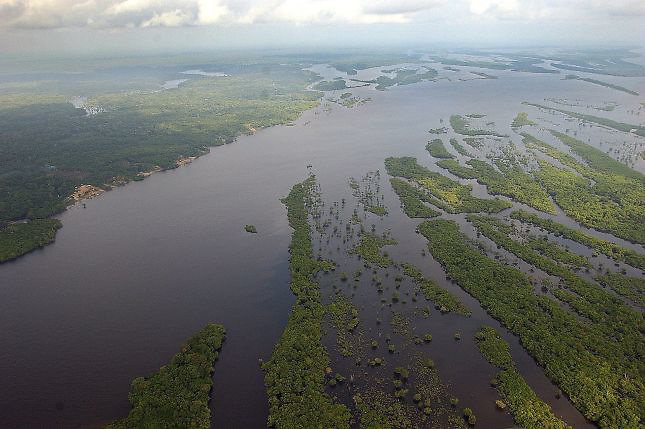 La desaparición de bosques inundados amenaza la pesca en Amazonas