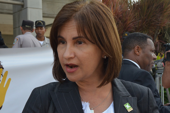 Directora Participación Ciudadana afirma  precandidatos presidenciales del PLD violan la ley