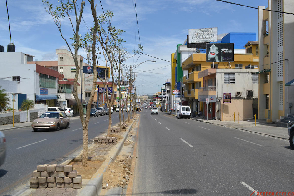 Santiagueros califican como otra “serullada” siembra árboles avenida Las Carreras