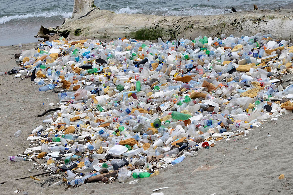 La basura arropa a la playa El Gringo: el triste recordatorio del descuido de las costas