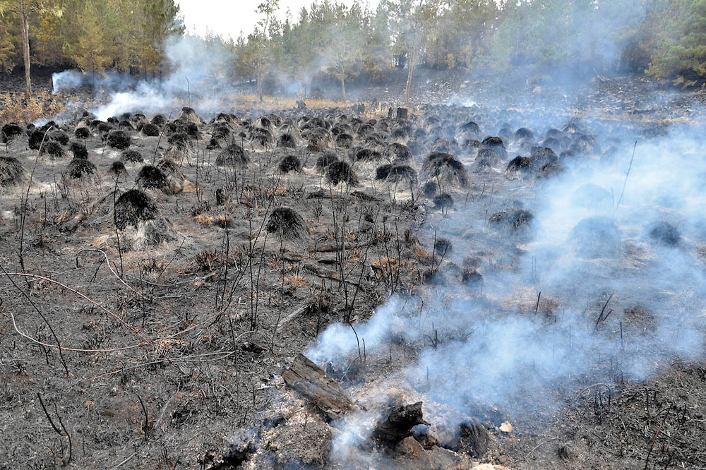 Medio Ambiente da por extinguidos incendios en Loma Miranda, Sierra Bahoruco y Gaspar Hernández