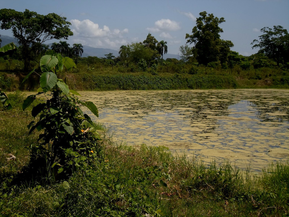 El río Yuna se muere por la contaminación a la vista de las autoridades