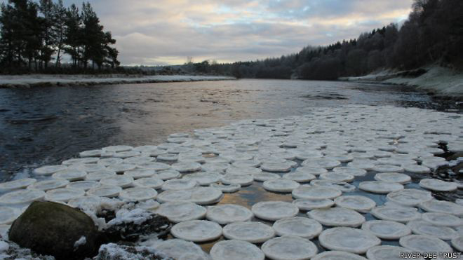 Qué son y cómo se forman los curiosos "panqueques de hielo"