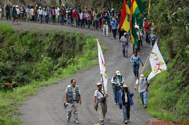 La FIDH pide a Bolivia suspender construcción de carretera en reserva natural