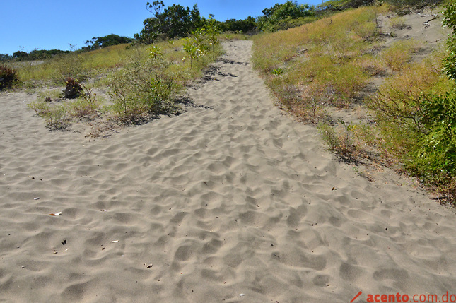 Los últimos años del siglo XX fueron los más cálidos de los últimos 1.400