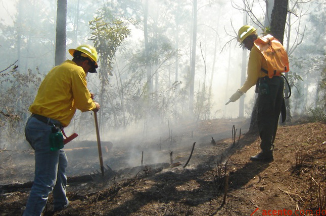 Medio Ambiente trabaja en el control de un incendio en el Pico Duarte