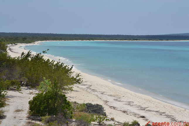 Bahía de las Águilas, tierra de algunos oportunistas o de todos los dominicanos.