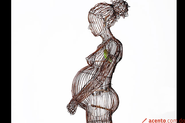 Cinco exposiciones de artes plásticas en el MAM