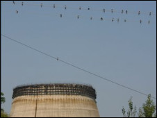 Chernobyl y las claves de la evolución