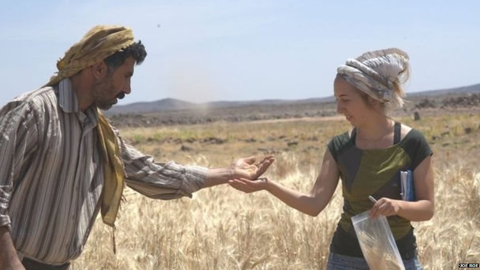 El sorprendente hallazgo del pan más antiguo del mundo (y por qué cambia lo que sabemos de la historia de la humanidad)