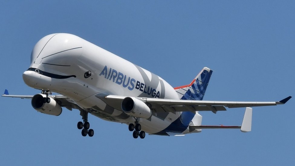Así fue fue el primer vuelo de Beluga XL, el gigantesco avión de carga de Airbus con forma de ballena