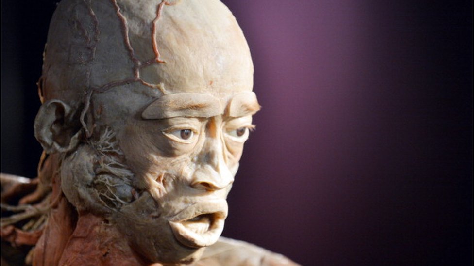 La exhibición de cadáveres 