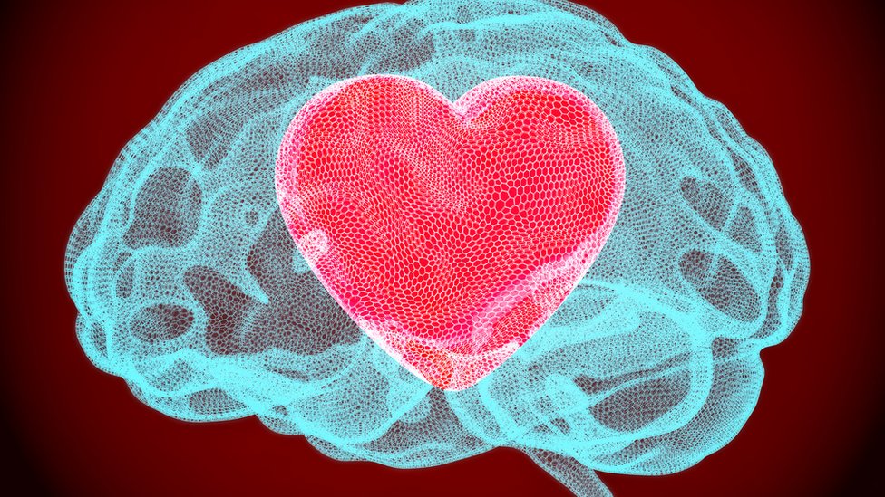 Qué es la kisspeptina, la hormona afrodisíaca que actúa incluso en nuestro inconsciente