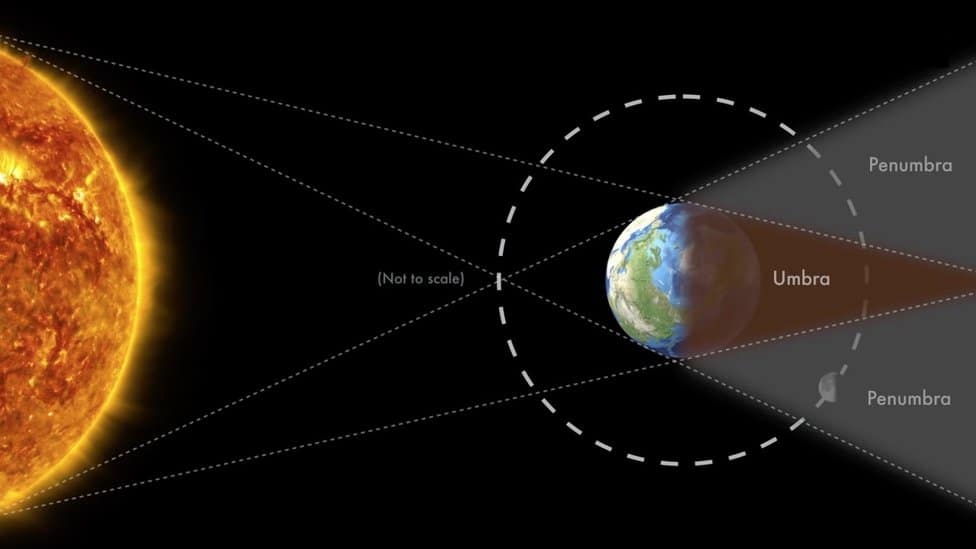 Los eclipses y las extrañas reacciones que provocan en los animales