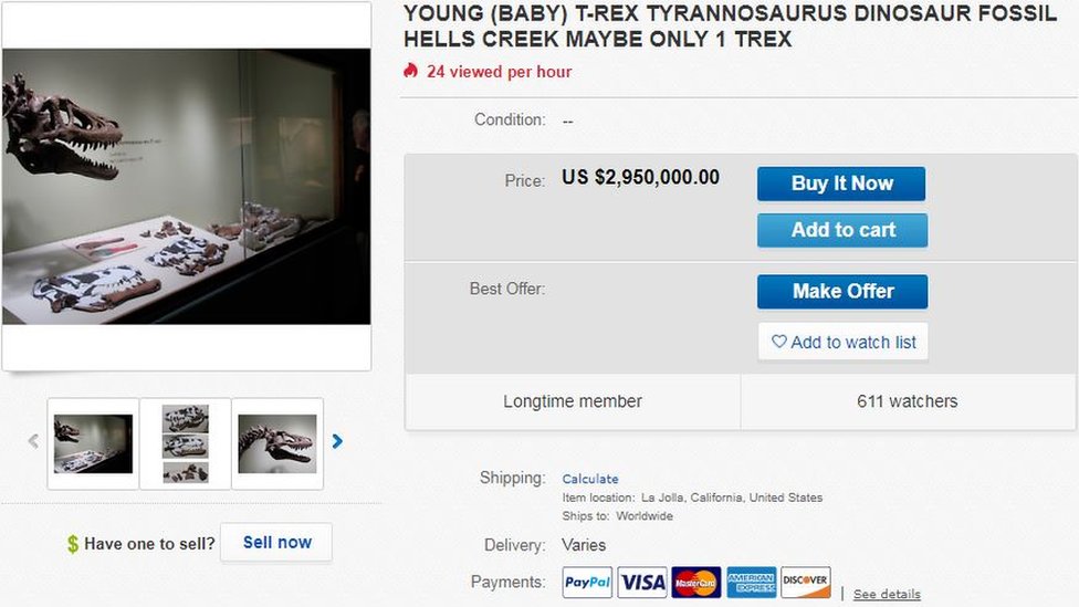La subasta de un fósil de dinosaurio en eBay que causa indignación en la comunidad científica