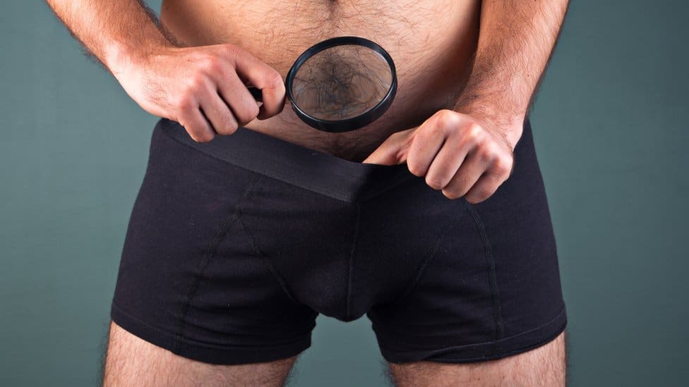 ¿Por qué los hombres son los primates con el pene más grande?