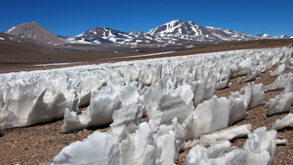 Qué son los penitentes, las enigmáticas dagas de hielo que crecen en el desierto (y por qué pueden dar pistas sobre si hay vida en otros planetas)