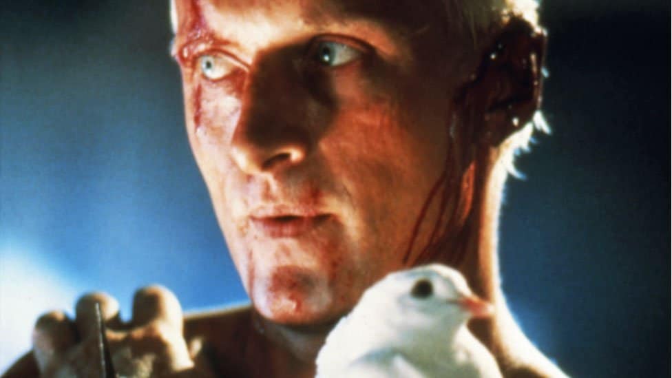 Muere Rutger Hauer, el Roy Batty de Blade Runner: el mítico 