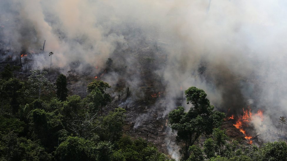 Incendios en el Amazonas: el número récord de fuegos que afectan a Brasil y también arrasan otros países de Sudamérica