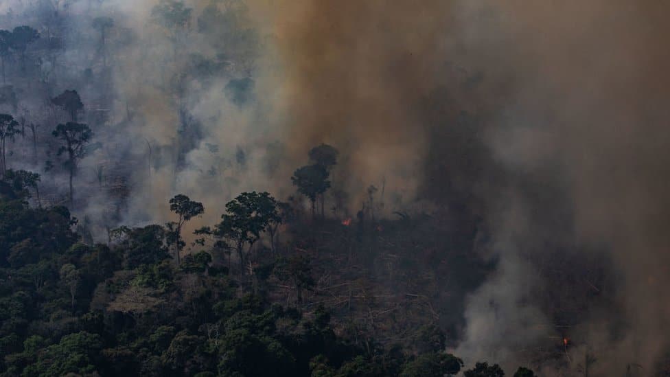 Incendios en el Amazonas: ¿qué preguntas tienes sobre los fuegos que asolan la selva más grande del mundo?