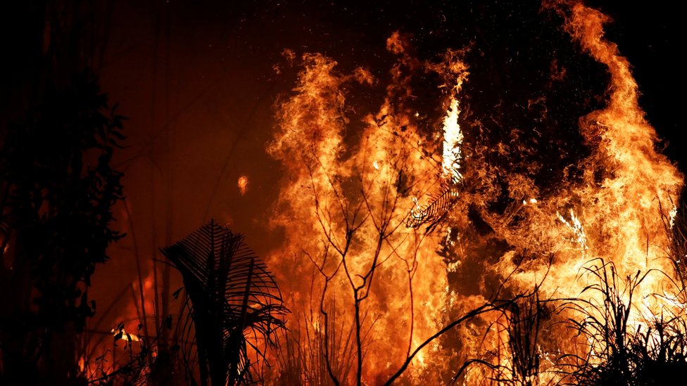 Incendio en el Amazonas: por qué Noruega donó US$1.200 millones a Brasil durante 10 años y dejó de hacerlo justo antes de los últimos fuegos
