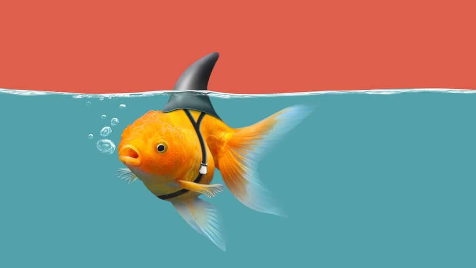4 inventos fracasados que tuvieron un éxito extraordinario
