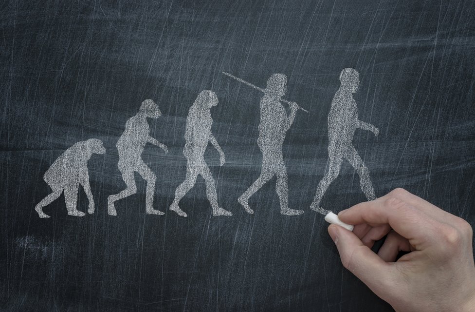 Así se veían los denisovanos, el misterioso grupo de homínidos que se cruzó con nuestros antepasados hace 50.000 años