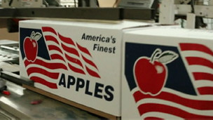 Las manzanas de la concordia entre Cuba y EE.UU.