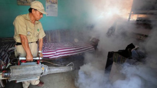 ¿Podrán los mosquitos modificados frenar enfermedades?