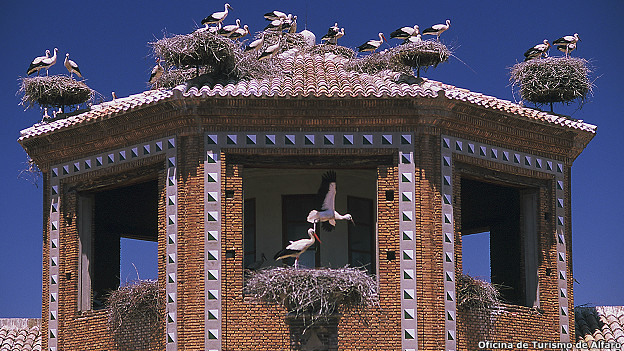 Los bebés vienen de La Rioja
