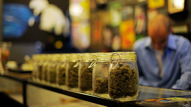 La bonanza marihuanera que muchos esperan en Estados Unidos