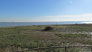 Una reserva natural nace en medio de la basura de Londres
