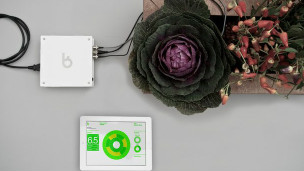 Cultivar comida en el aire y otros adelantos tecnológicos de la jardinería