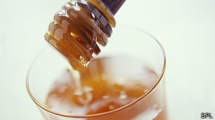 El extraño caso del envenenamiento por 