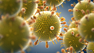 Desarrollan vacuna de oro para infecciones virales en bebés y niños