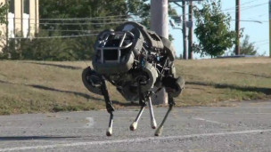 ¿Para que necesita Google tantos robots?