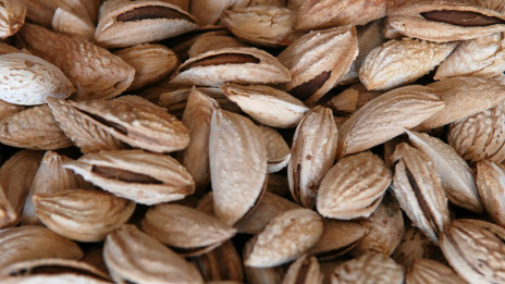 ¿Porqué son tan caras las almendras?