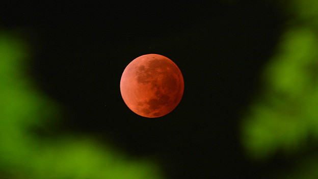 Cuándo se podrán ver los próximos eclipses de la Luna roja