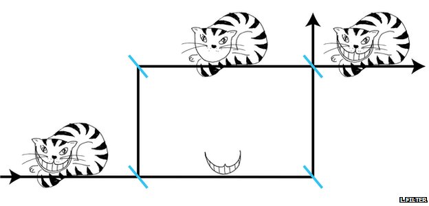 La prueba científica de la misteriosa sonrisa del Gato de Cheshire