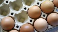 Cuba: acusan a funcionarios de robarse 8 millones de huevos