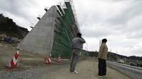 El gigantesco muro que construye Japón para detener tsunamis