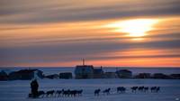 Obama pide hacer enorme reserva ambiental en Alaska