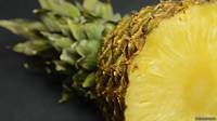 Los años en los que una sola piña costaba US$7.500