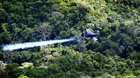 Colombia suspende uso del polémico pesticida glifosato contra cultivos de coca