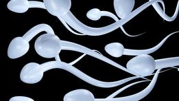 Hipersensibilidad al semen, una alergia muy singular